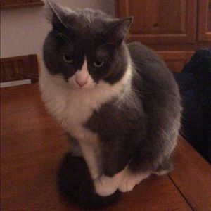 Meet your Posher, Christina